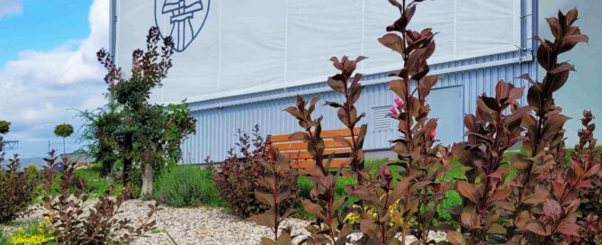 Zieleń przy siedzibie firmy Medisept na Spiessa