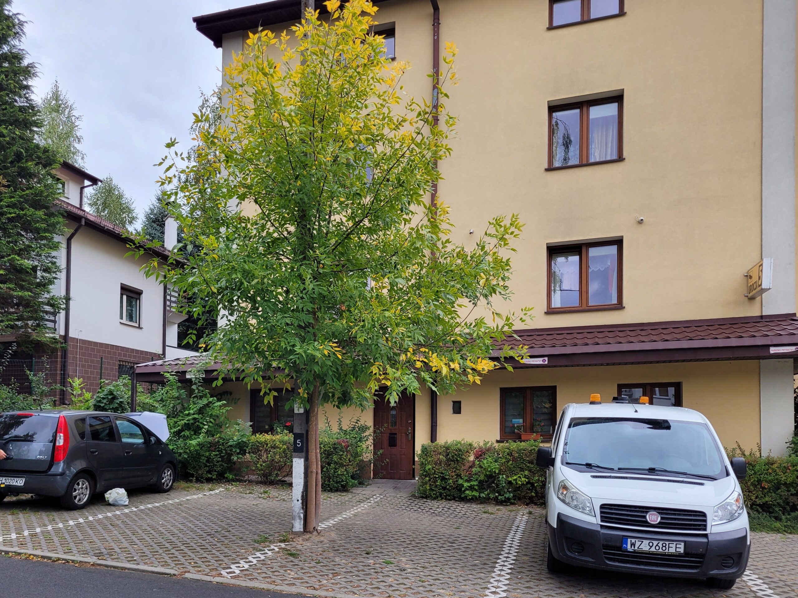 Drzewka przed hotelem Willa Urocza 5