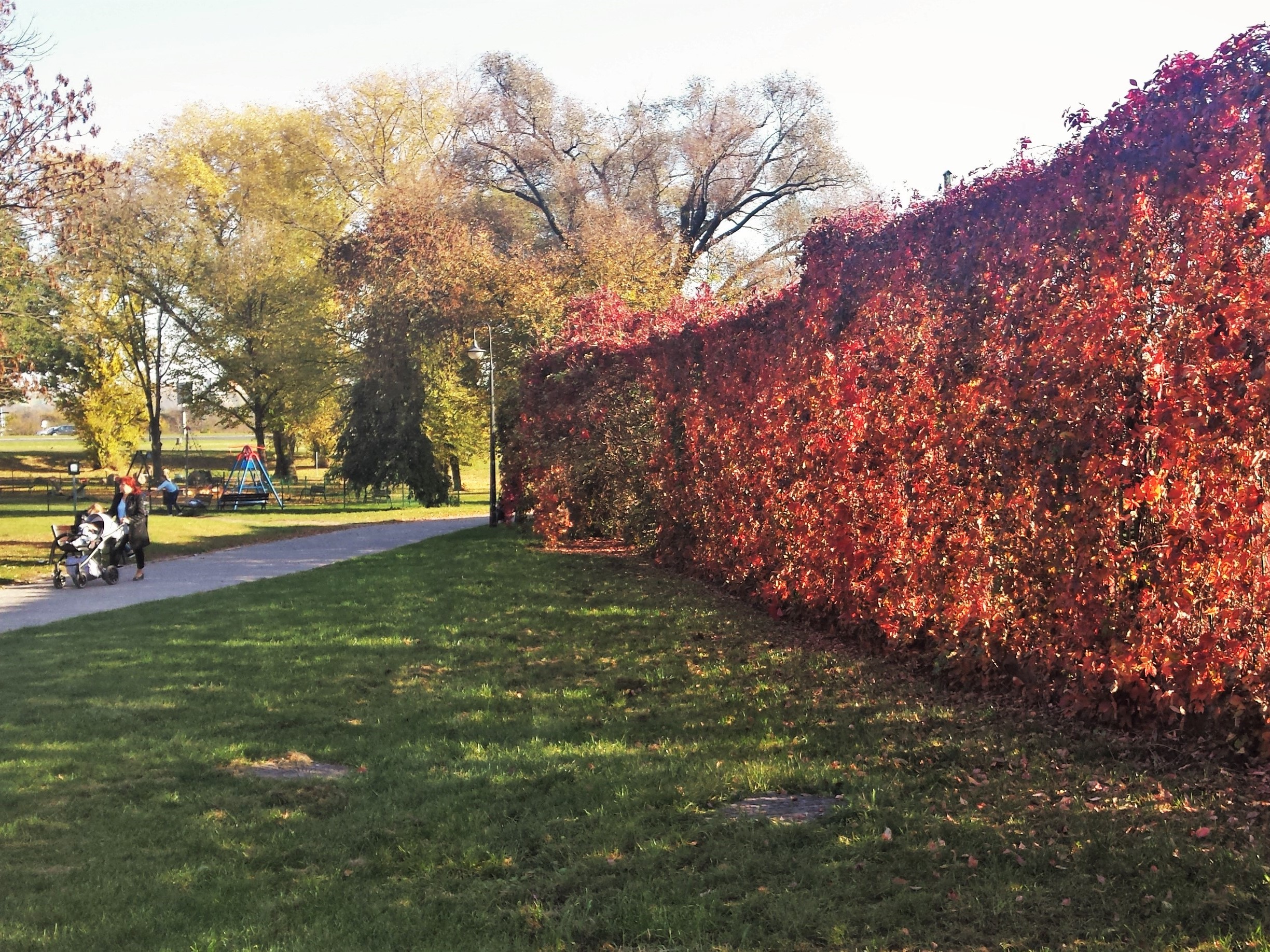 Ogrodzenie szkoły na Błoniach