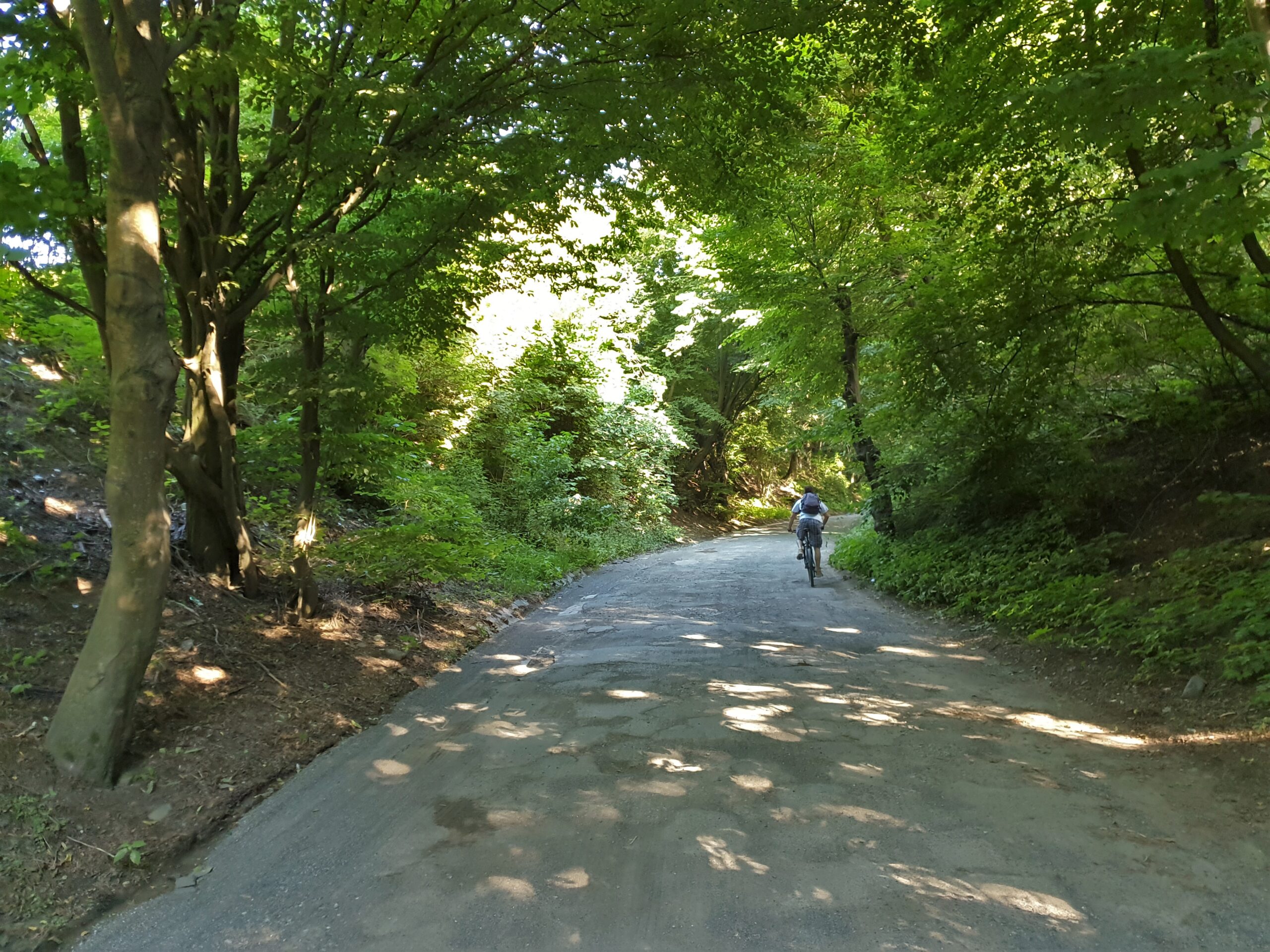 Wąwóz ulicy Lipniak