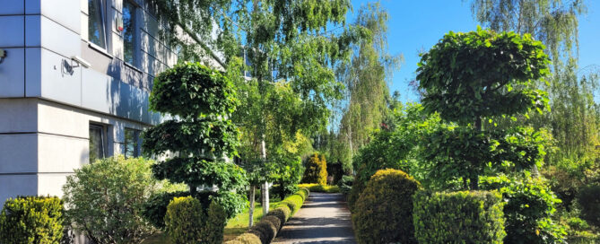 Ogród Embe Press przy Tokarskiej