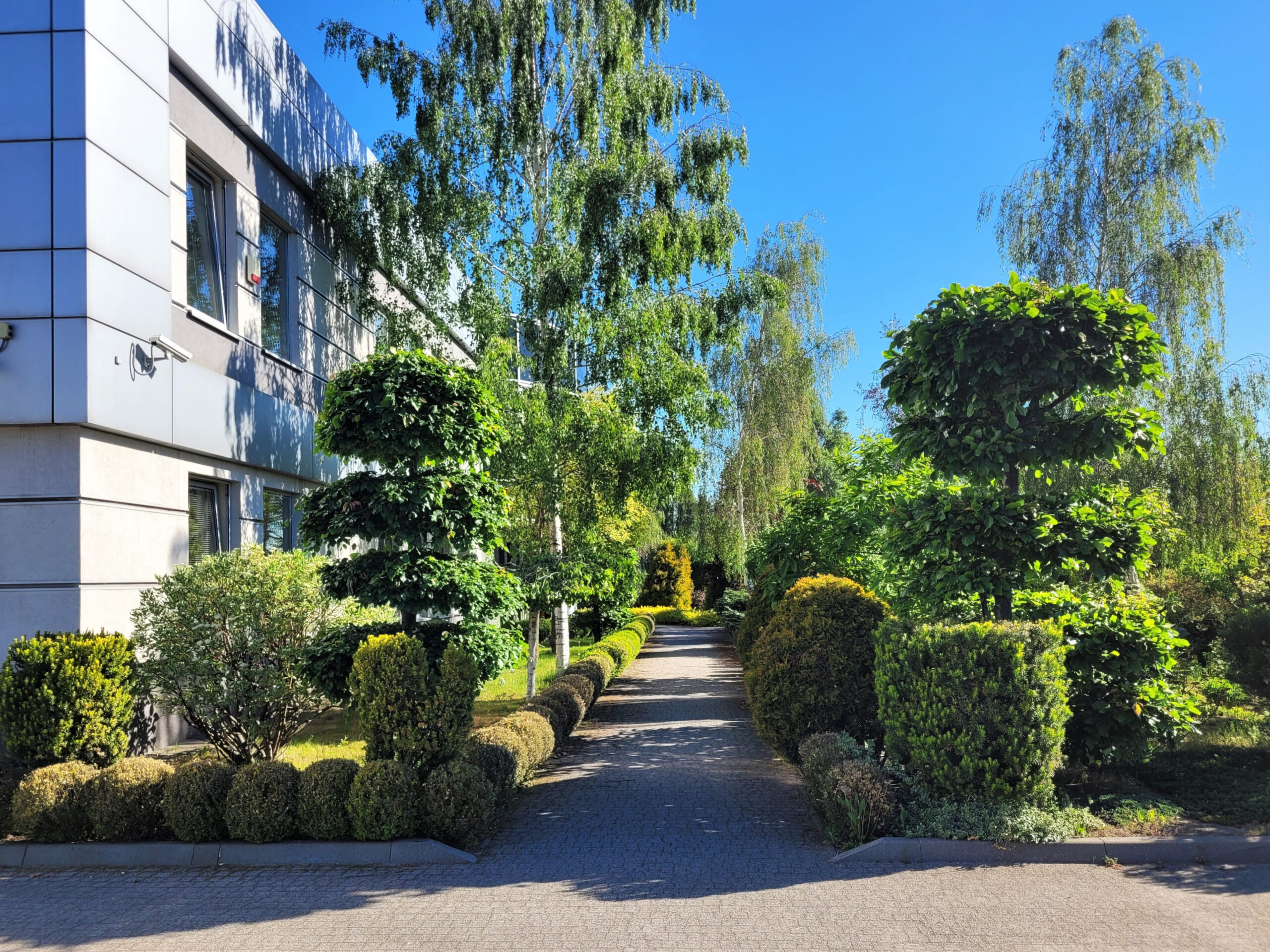 Ogród Embe Press przy Tokarskiej