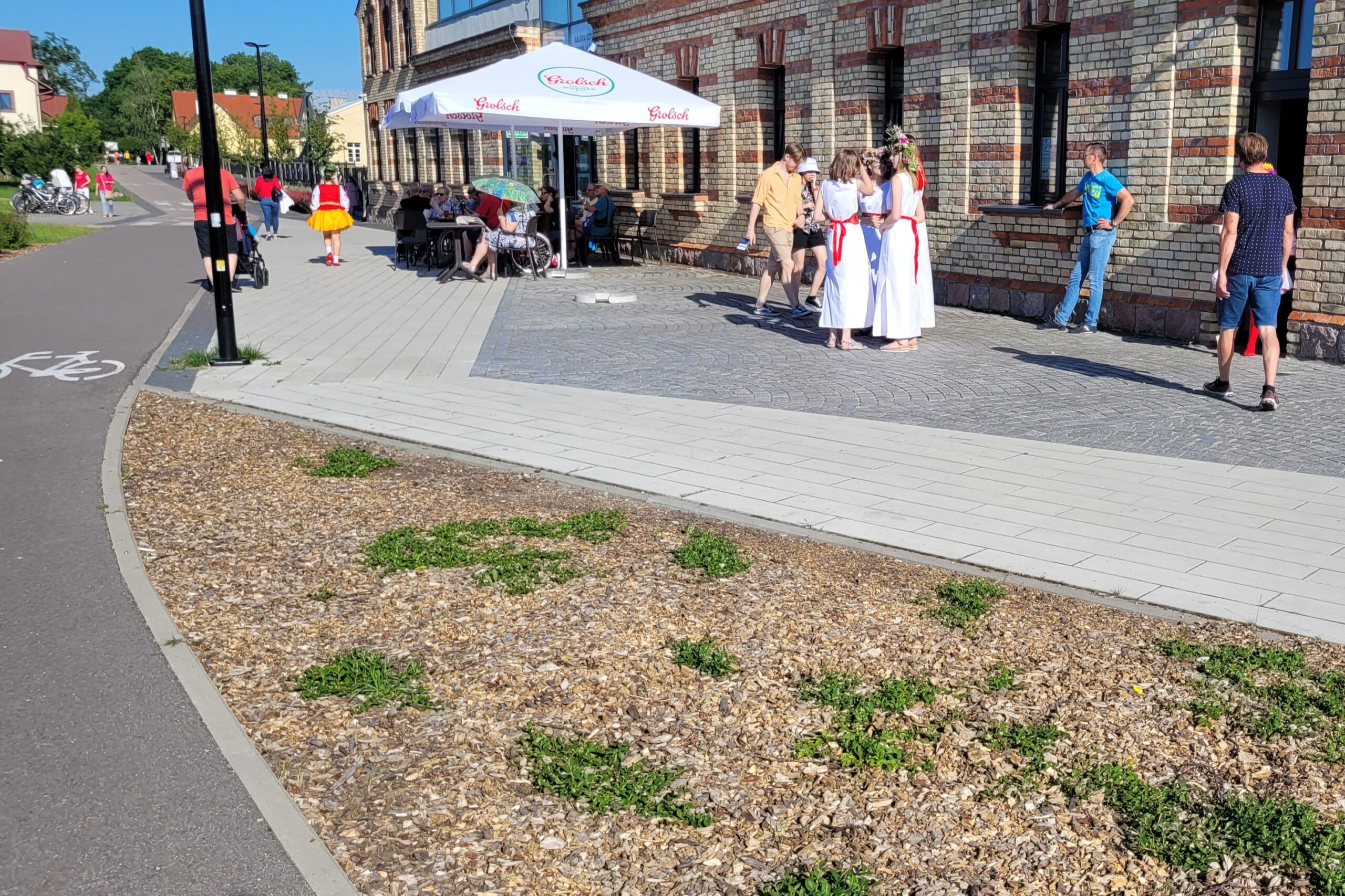 Rabatki bez agrowłókniny w Suwałkach