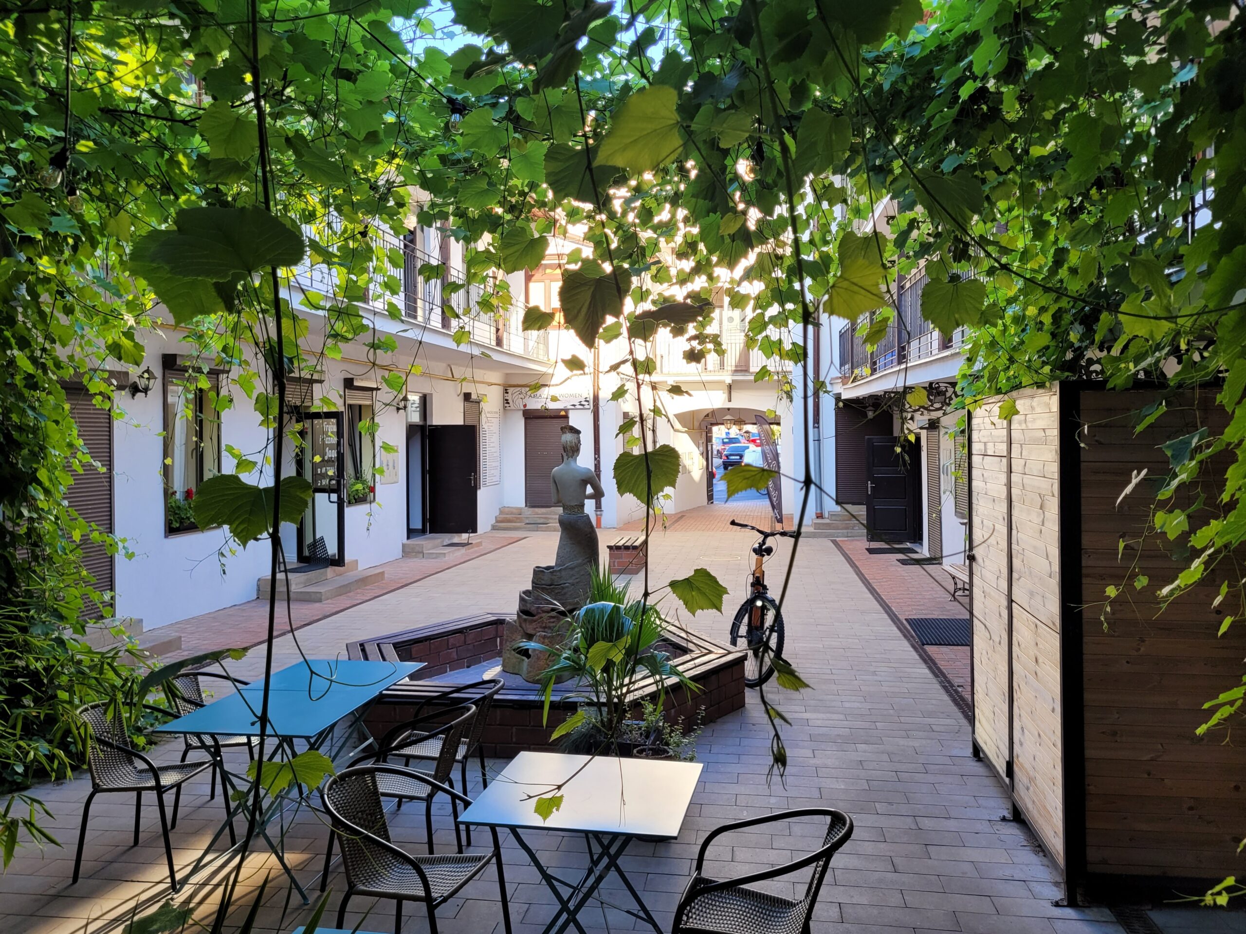 Winorośl przy restauracji Makani na Świętoduskiej