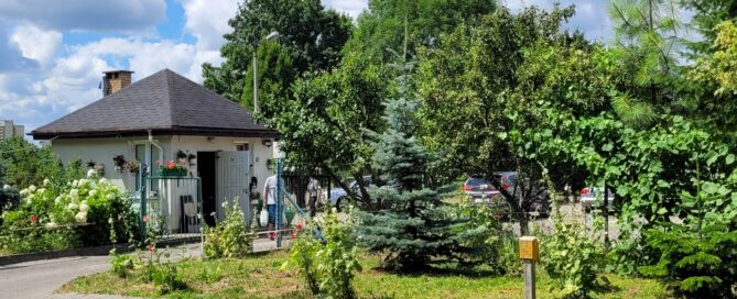 Ukwiecony wjazd na parking przy Sawy