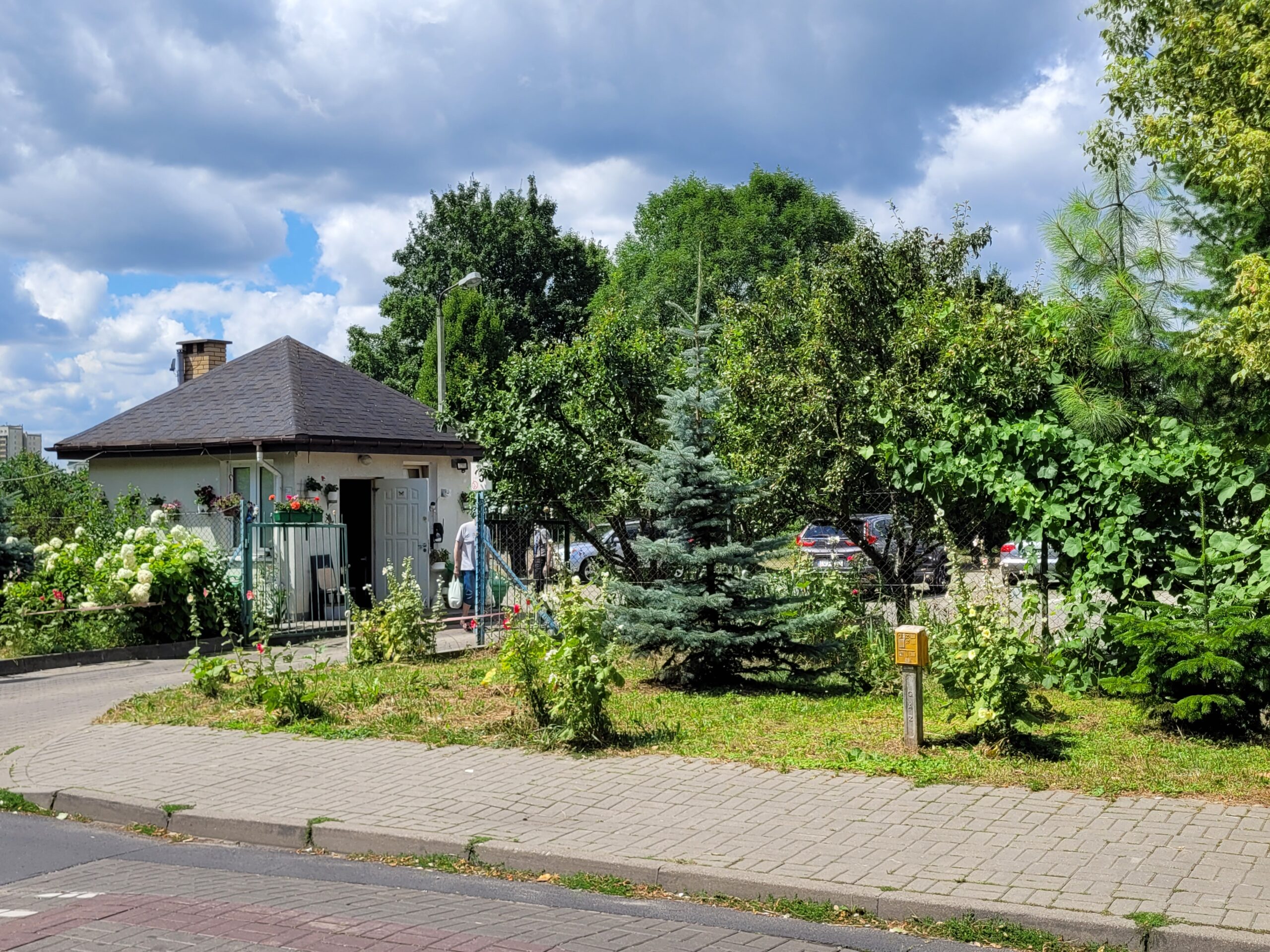 Ukwiecony wjazd na parking przy Sawy