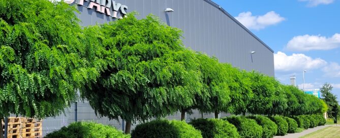 Dbałość o zieleń w firmie Parys na Walentynowicz i Vetterów