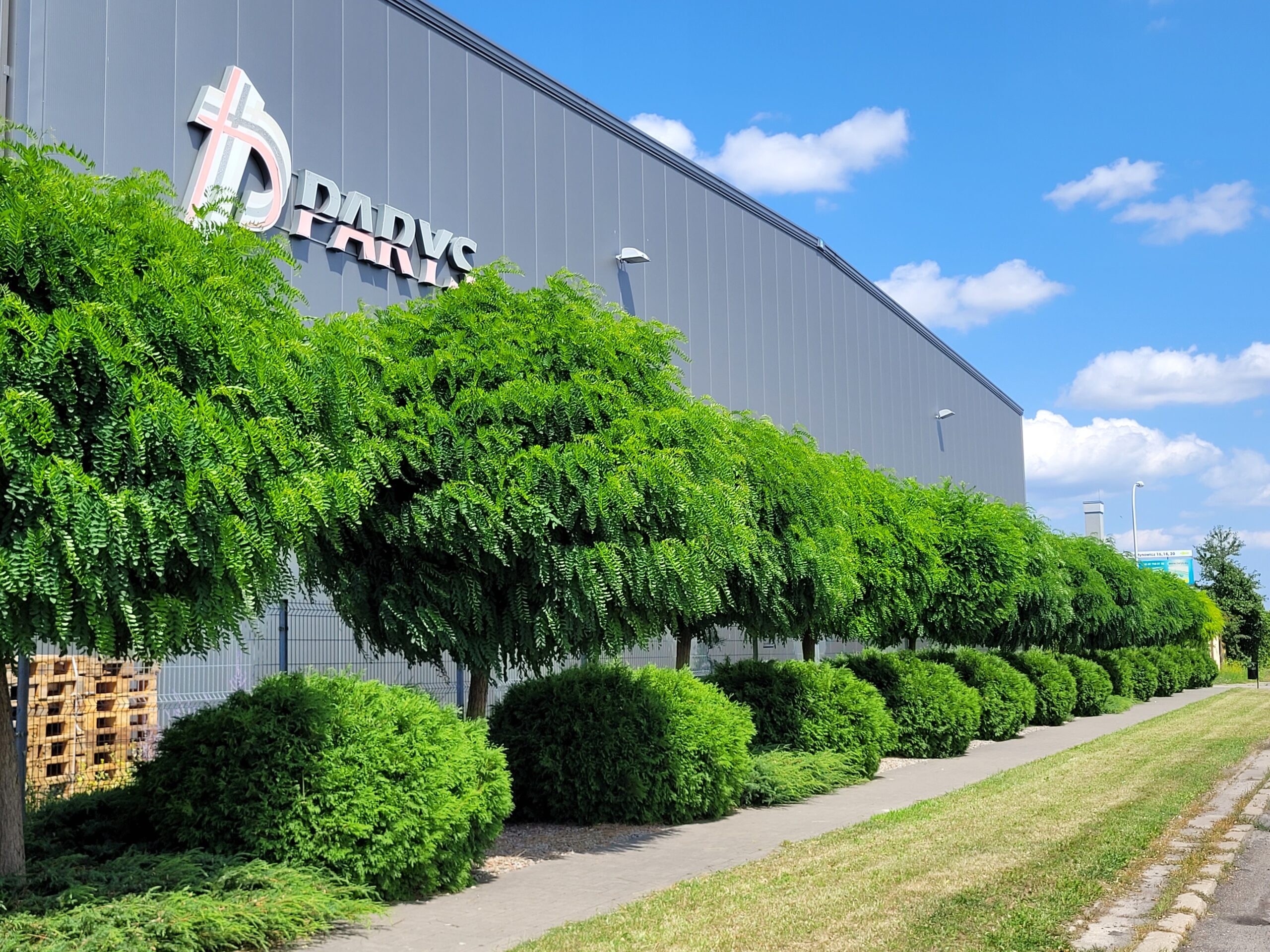 Dbałość o zieleń w firmie Parys na Walentynowicz i Vetterów