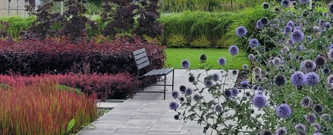 Ogród Modern Expo na Spiessa