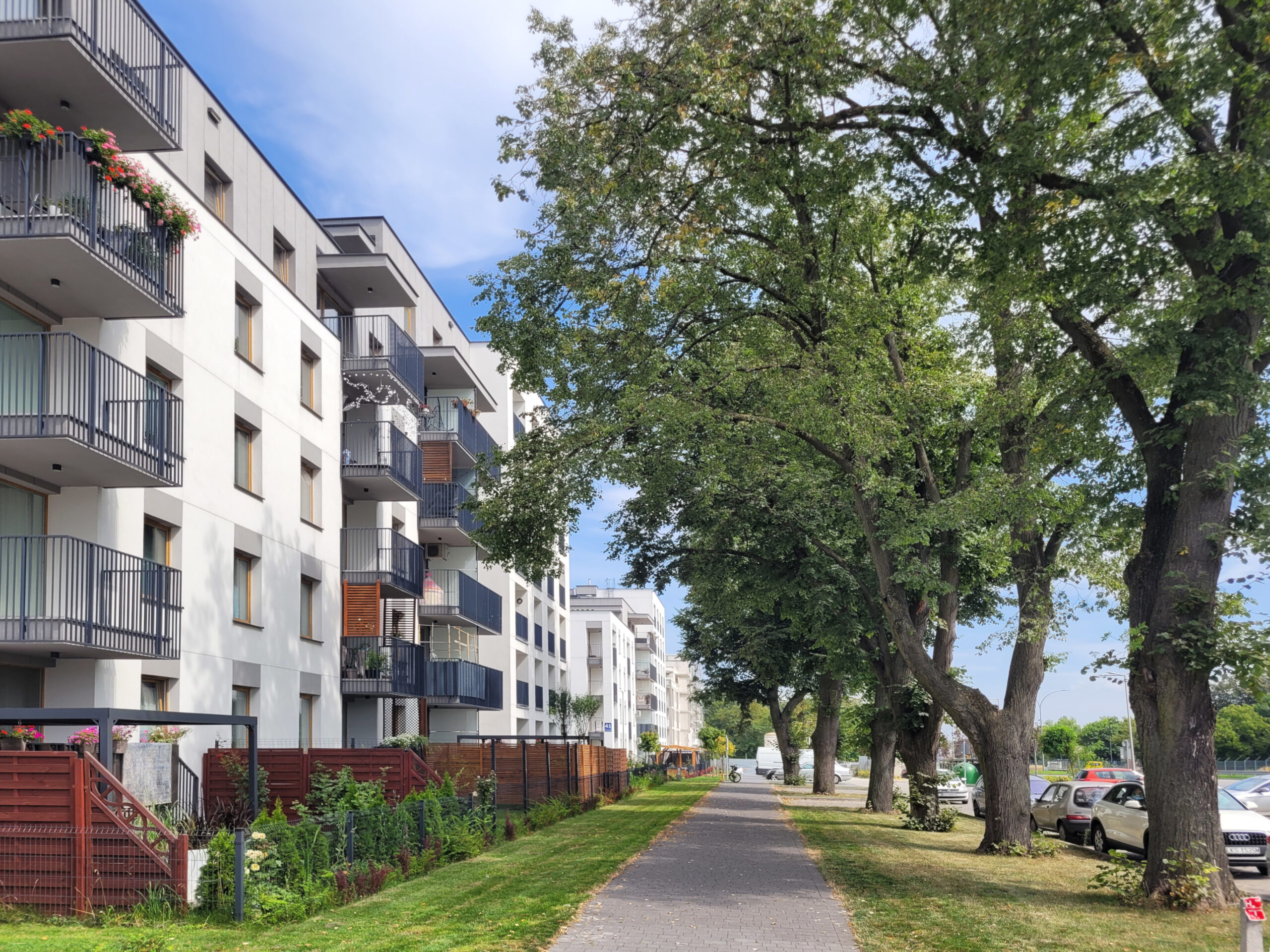 Drzewa zostawione przez Mak Dom na Wyścigowej