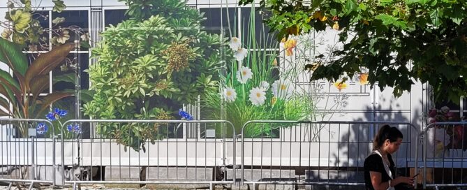 Florystyczne maskowanie remontowanej kamienicy na Deptaku