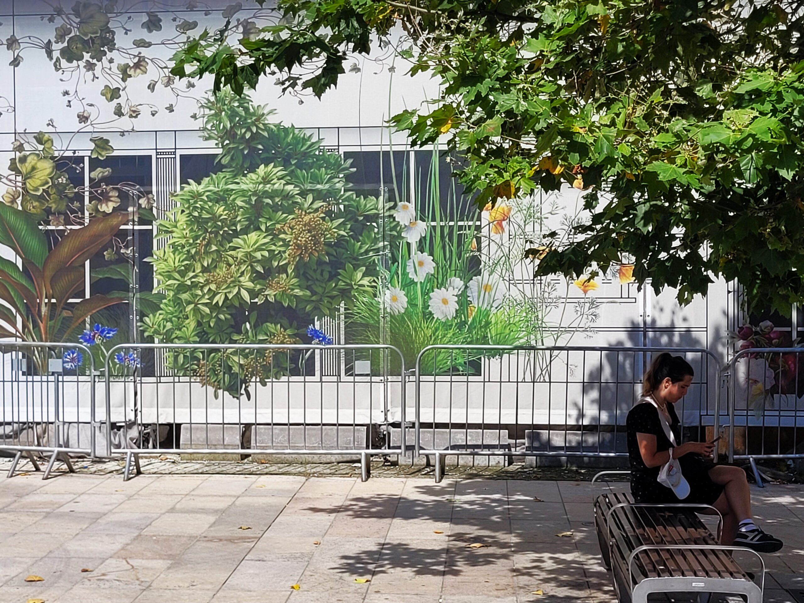 Florystyczne maskowanie remontowanej kamienicy na Deptaku