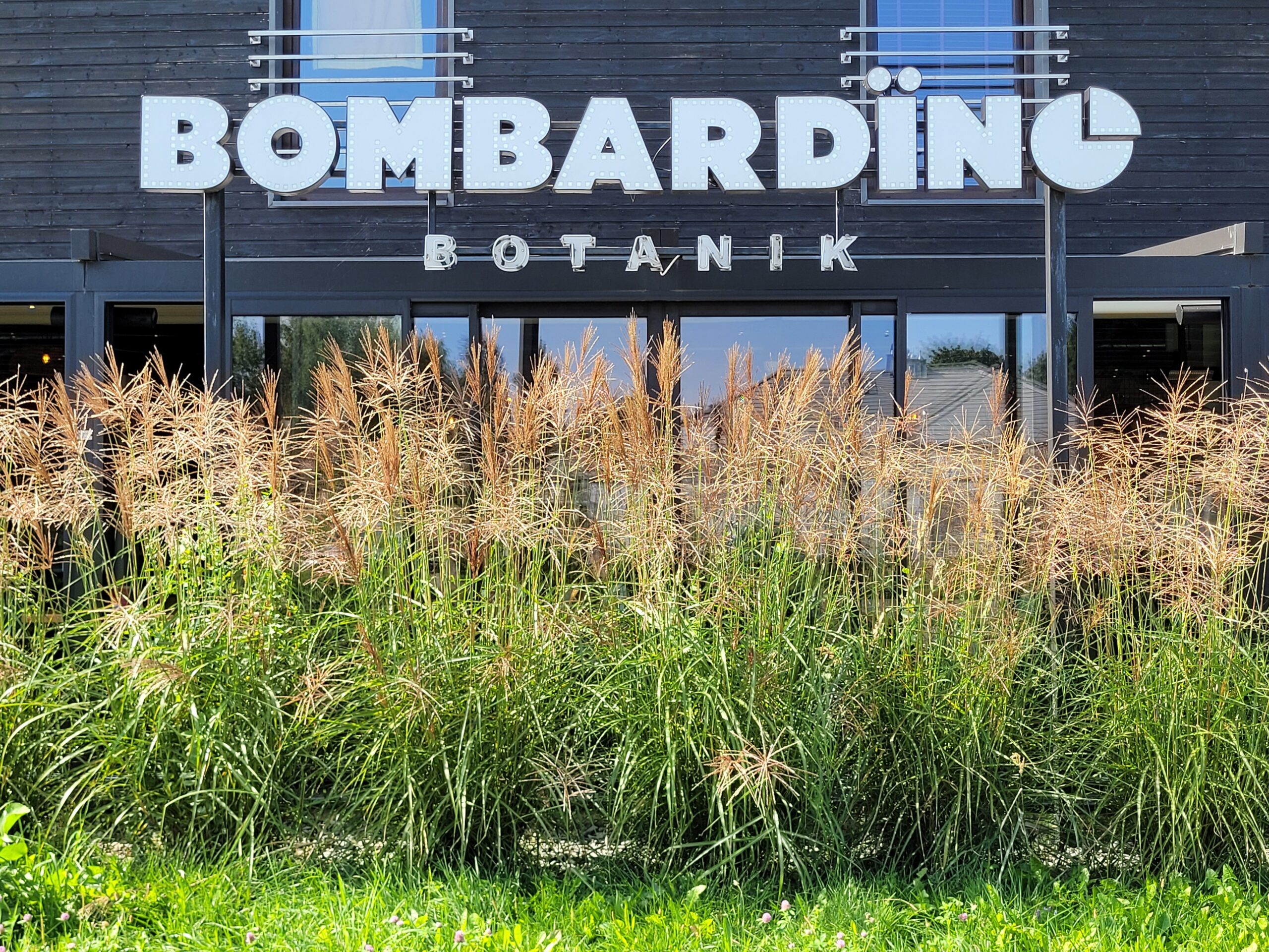 Zieleń na zewnątrz i wewnątrz Bombardino na Willowej