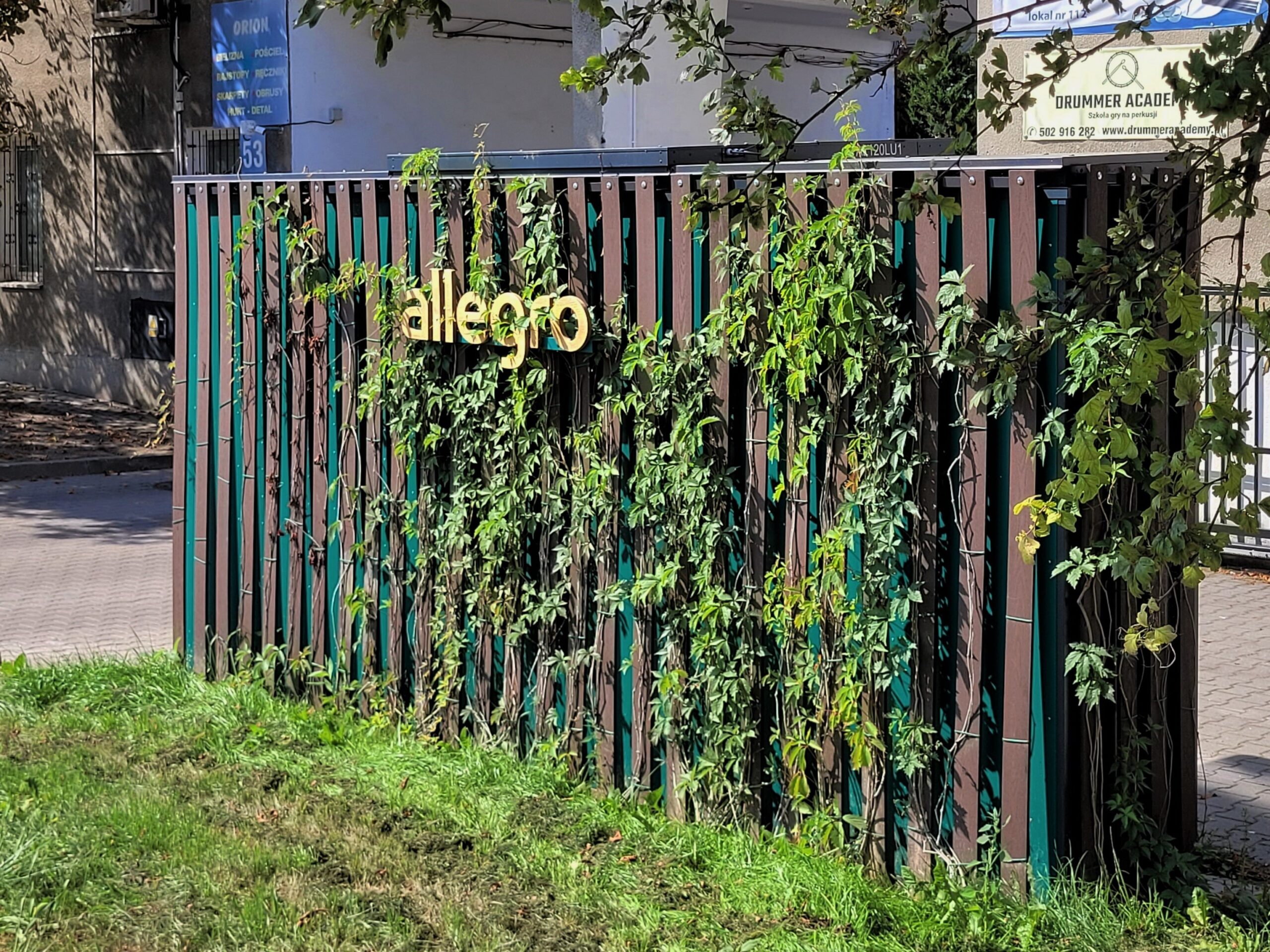 Pnącza na automatach paczkowych Allegro One