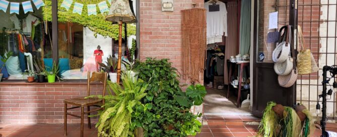 Sukcesja ekologiczna na podwórku Składu Retro przy Peowiaków