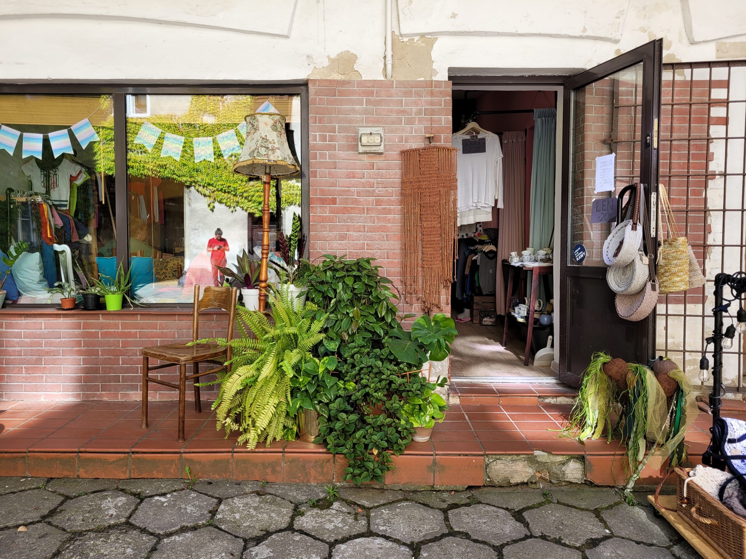 Sukcesja ekologiczna na podwórku Składu Retro przy Peowiaków