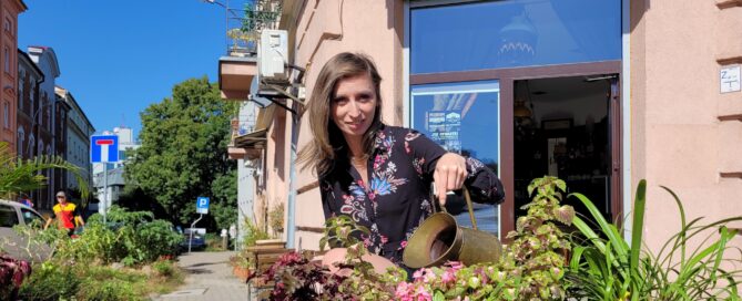 Zielony róg Szewskiej przy kawiarni Cyngwajs