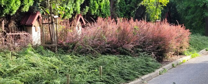 Rabaty na Bydgoskiej