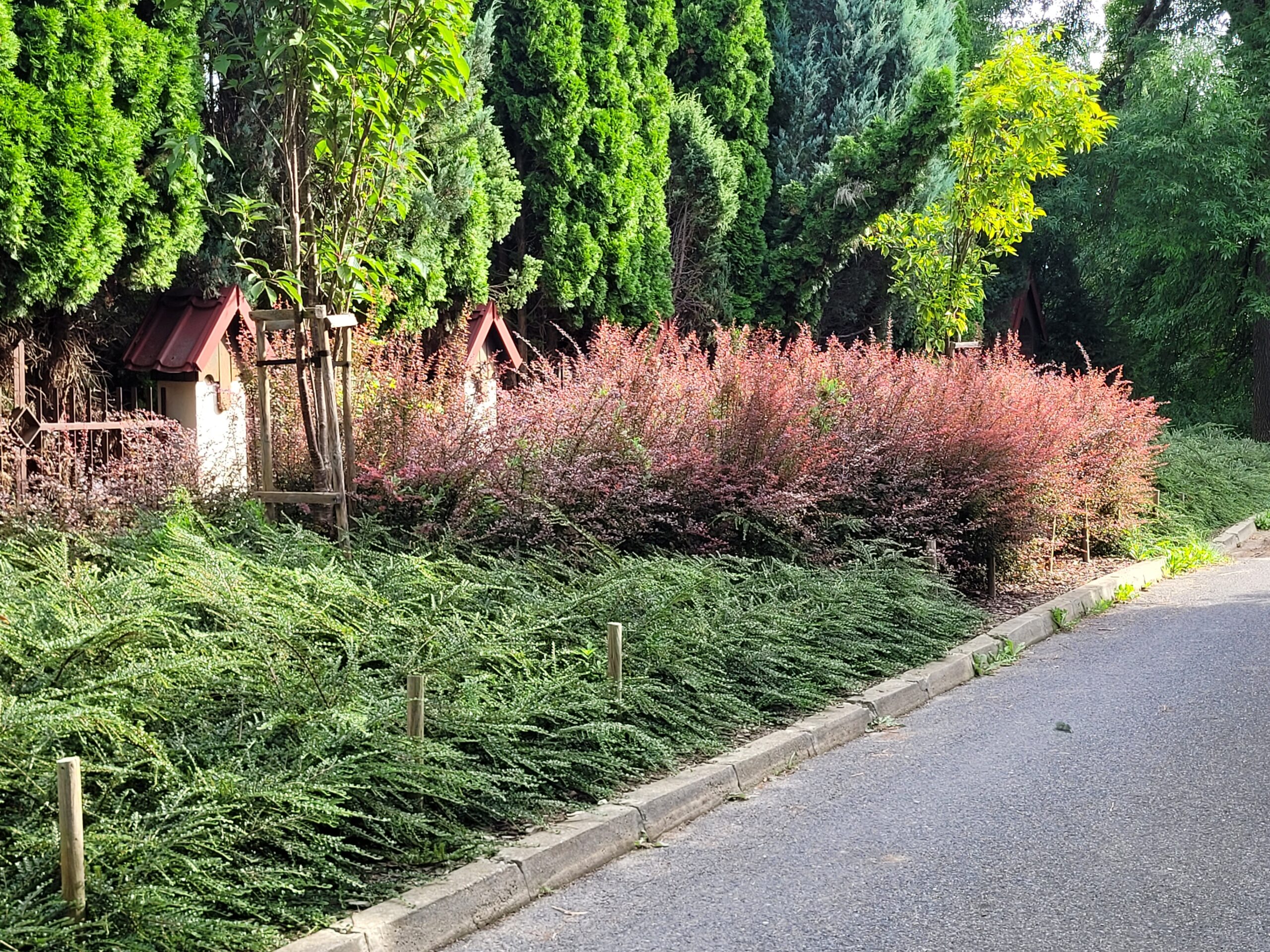 Rabaty na Bydgoskiej