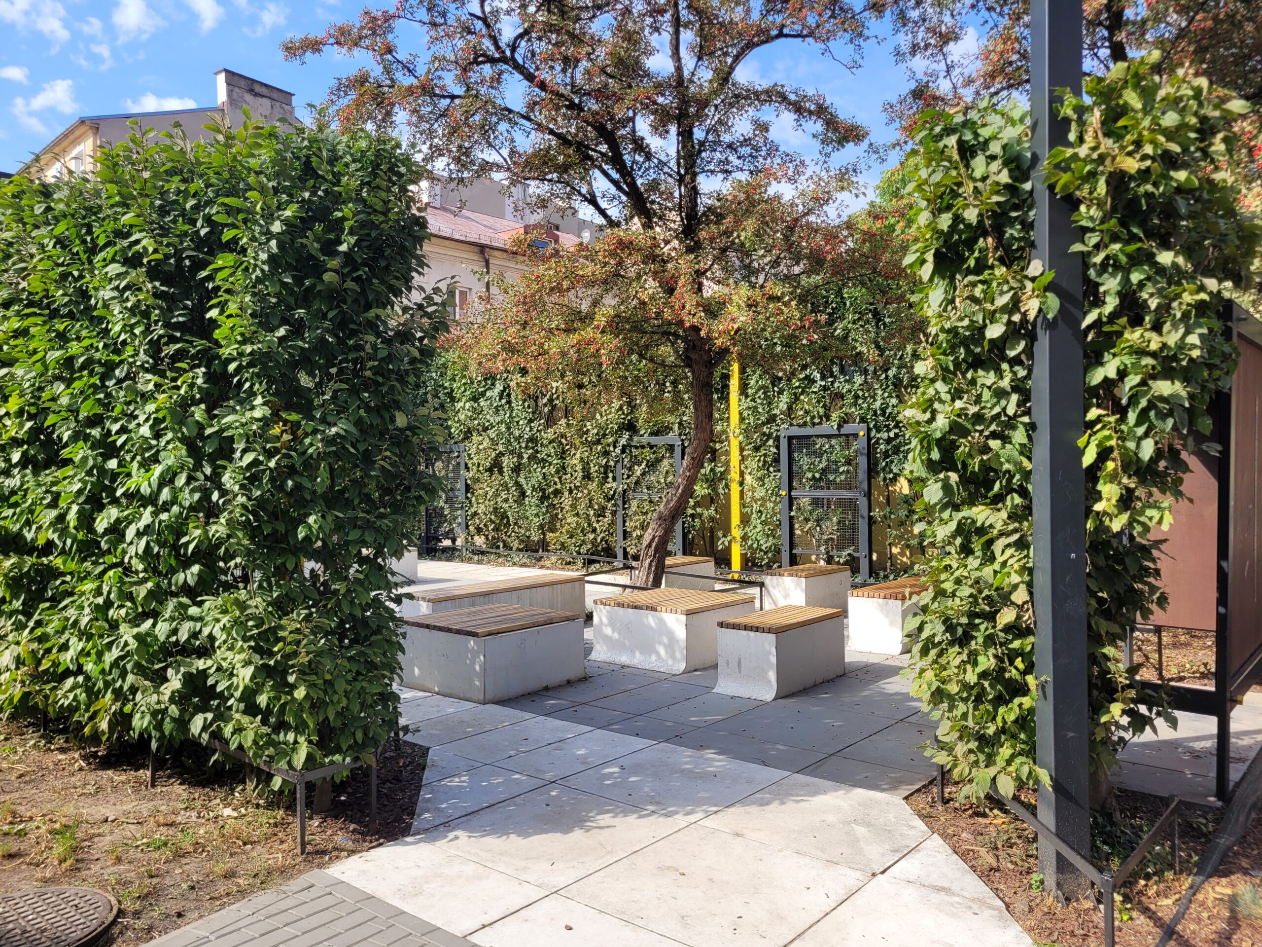 Zielona Sala Wykładowa na Furmańskiej