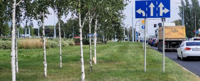 Zielona Aleja Smorawińskiego przy II US