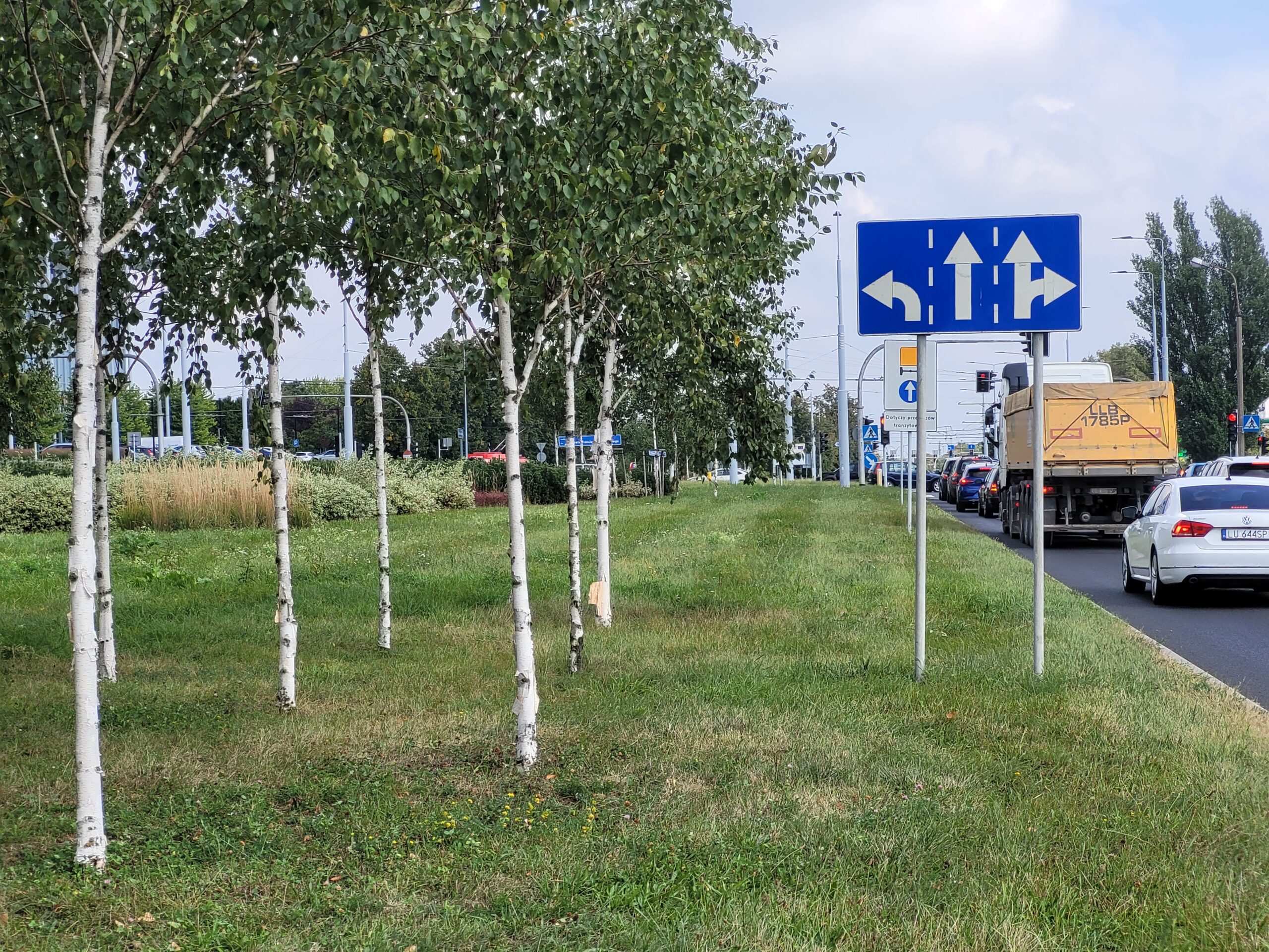 Zielona Aleja Smorawińskiego przy II US