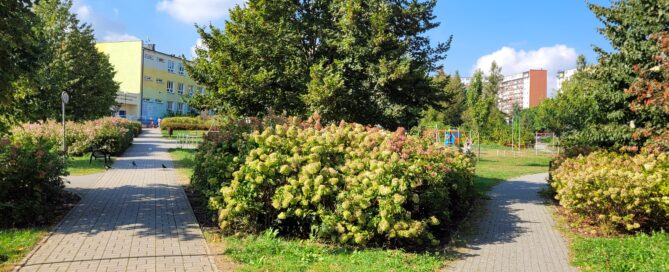 Skwer przy ulicy Biedronki