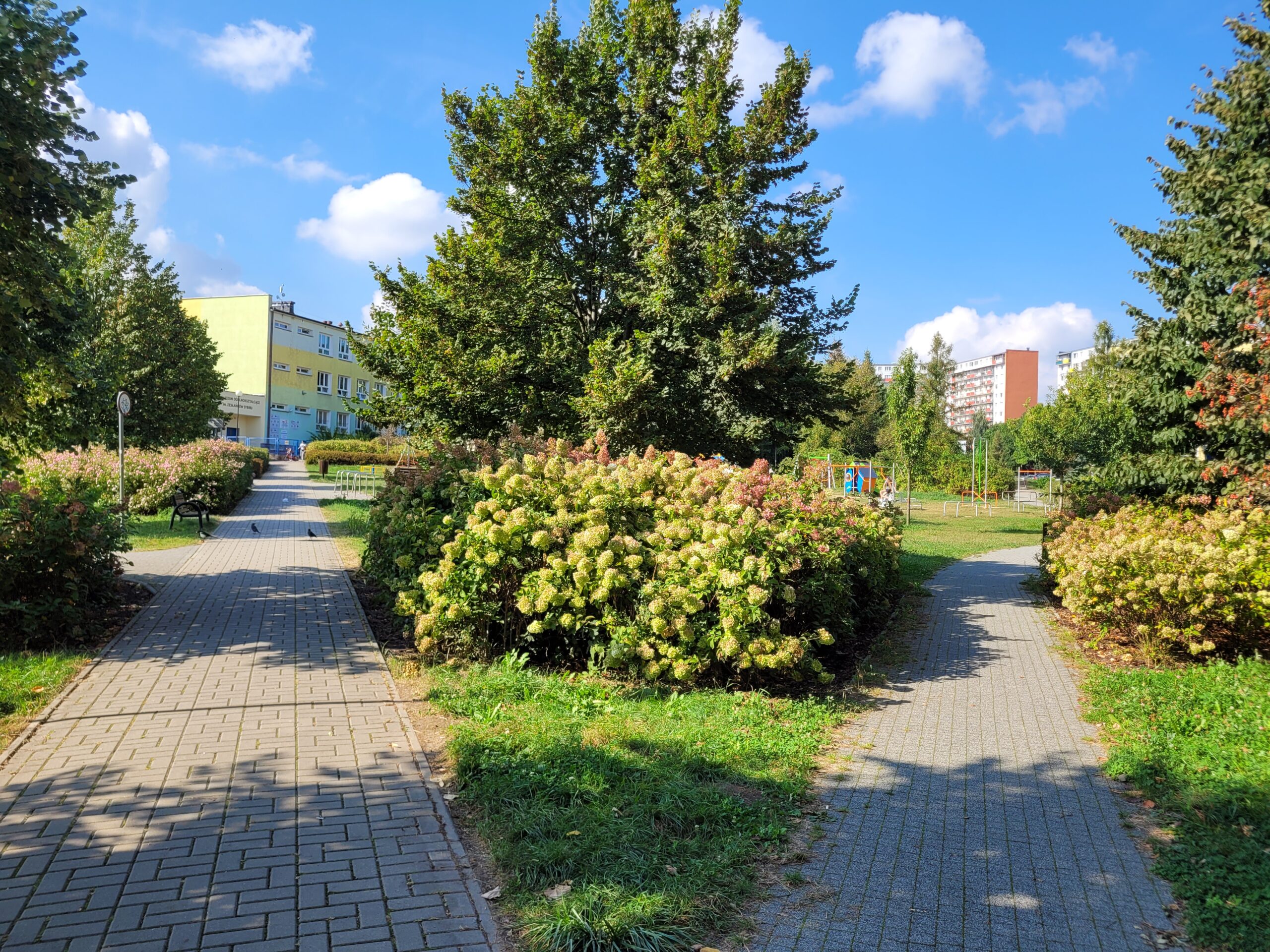 Skwer przy ulicy Biedronki