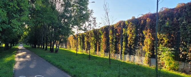 Wysadzamy lubelskie ekrany