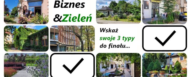 Poglądowy scenariusz nominacji (do finału plebiscytu "Biznes i zieleń" 2023)