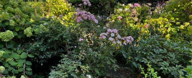 Rewitalizacja skweru przy placu zabaw na Jastrzębiej