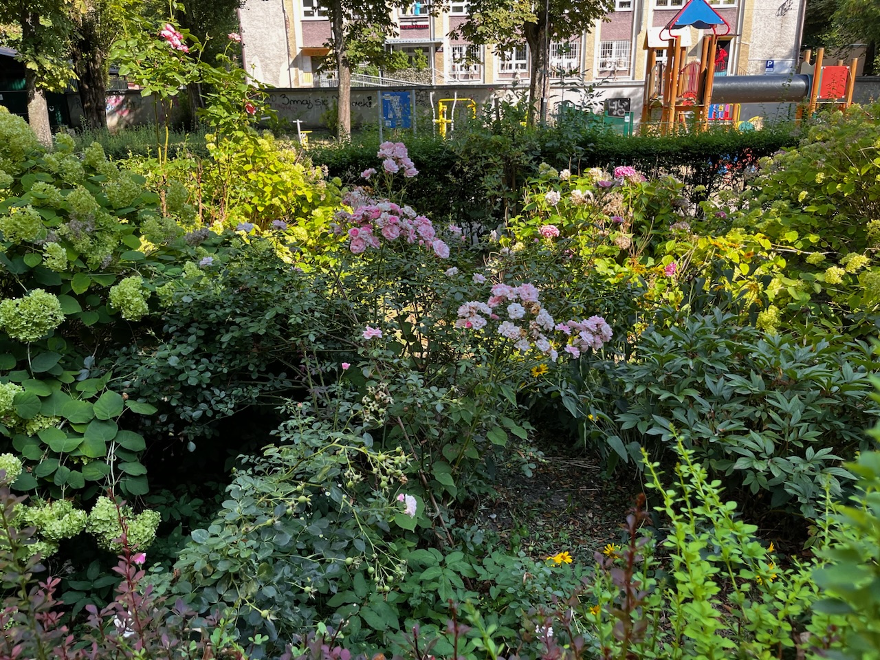 Rewitalizacja skweru przy placu zabaw na Jastrzębiej