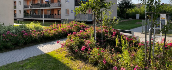 Skwer na Zygmunta Augusta