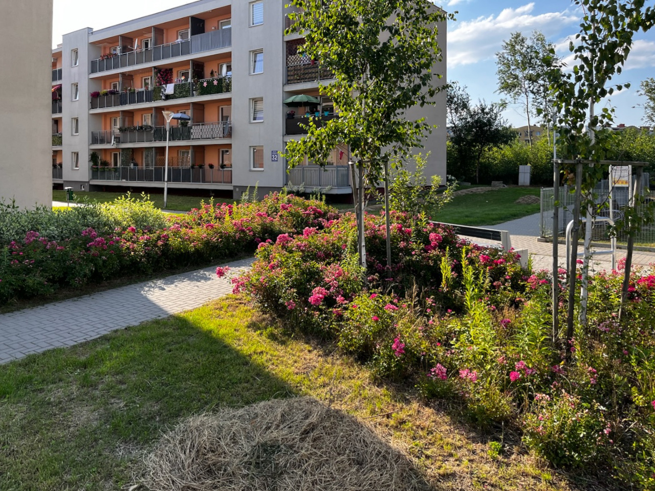 Skwer na Zygmunta Augusta