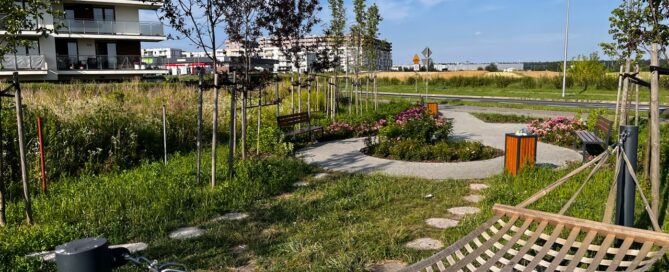 Park kieszonkowy na Felinie