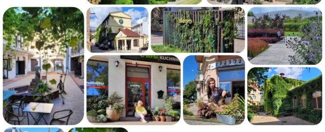 Podsumowanie plebiscytu "Biznes i zieleń" 2023