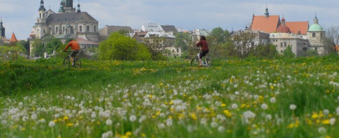 Widok z Bronowic na Stare Miasto