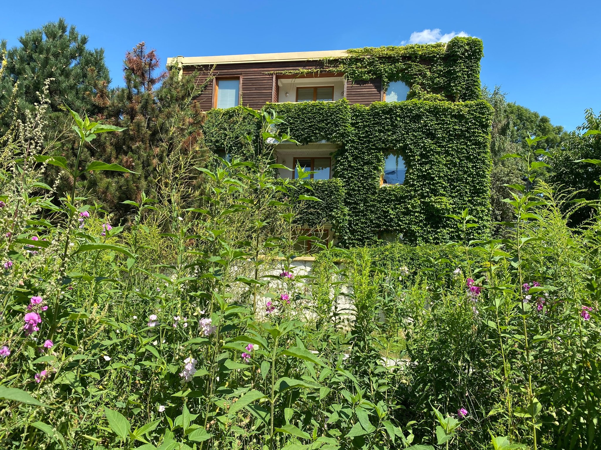 Dom na Arnsztajnowej