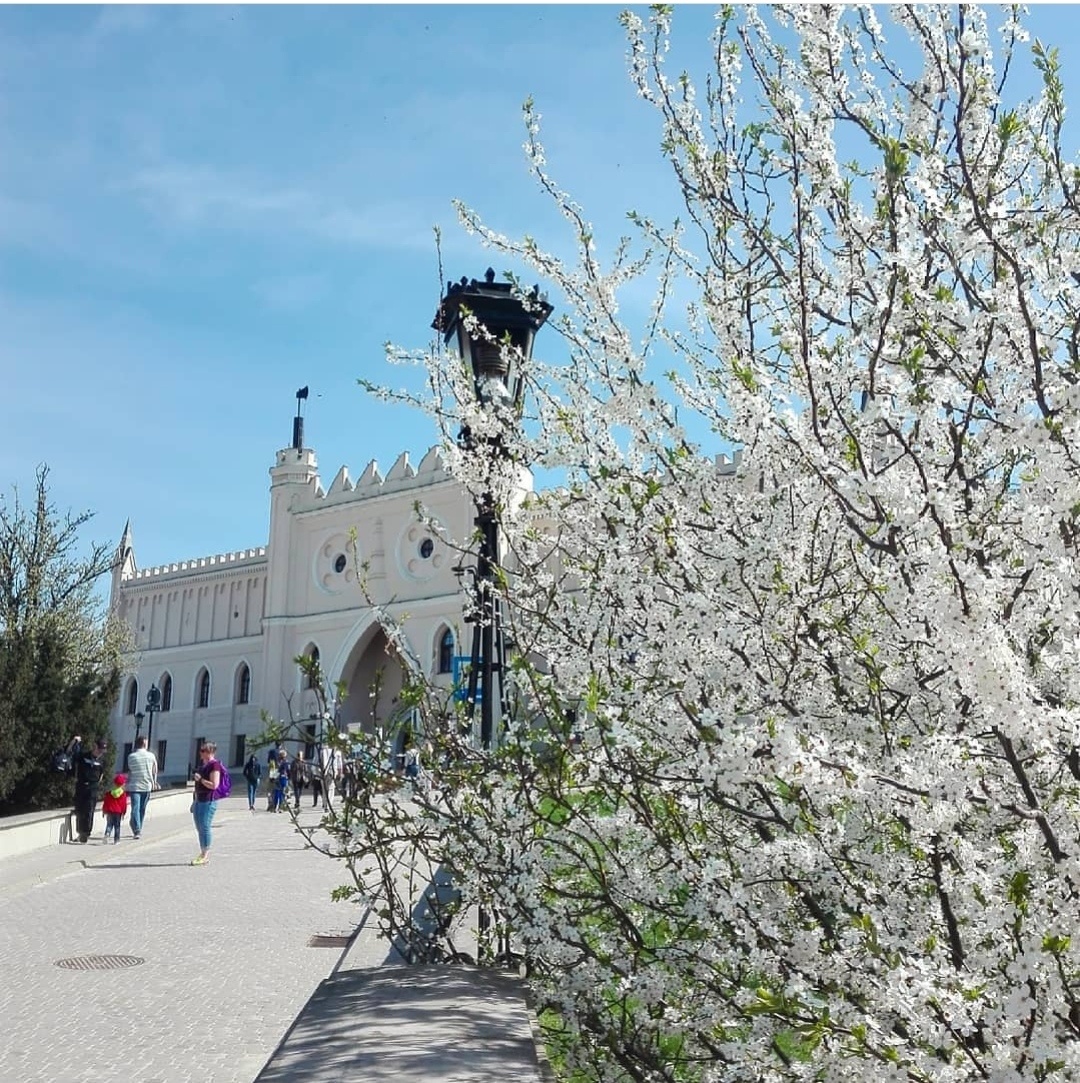 Biała Wiosna pod Zamkiem
