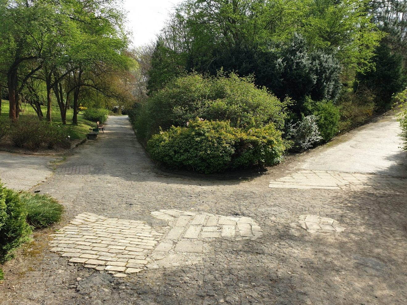 Chodniki wabi-sabi w Ogrodzie Botanicznym