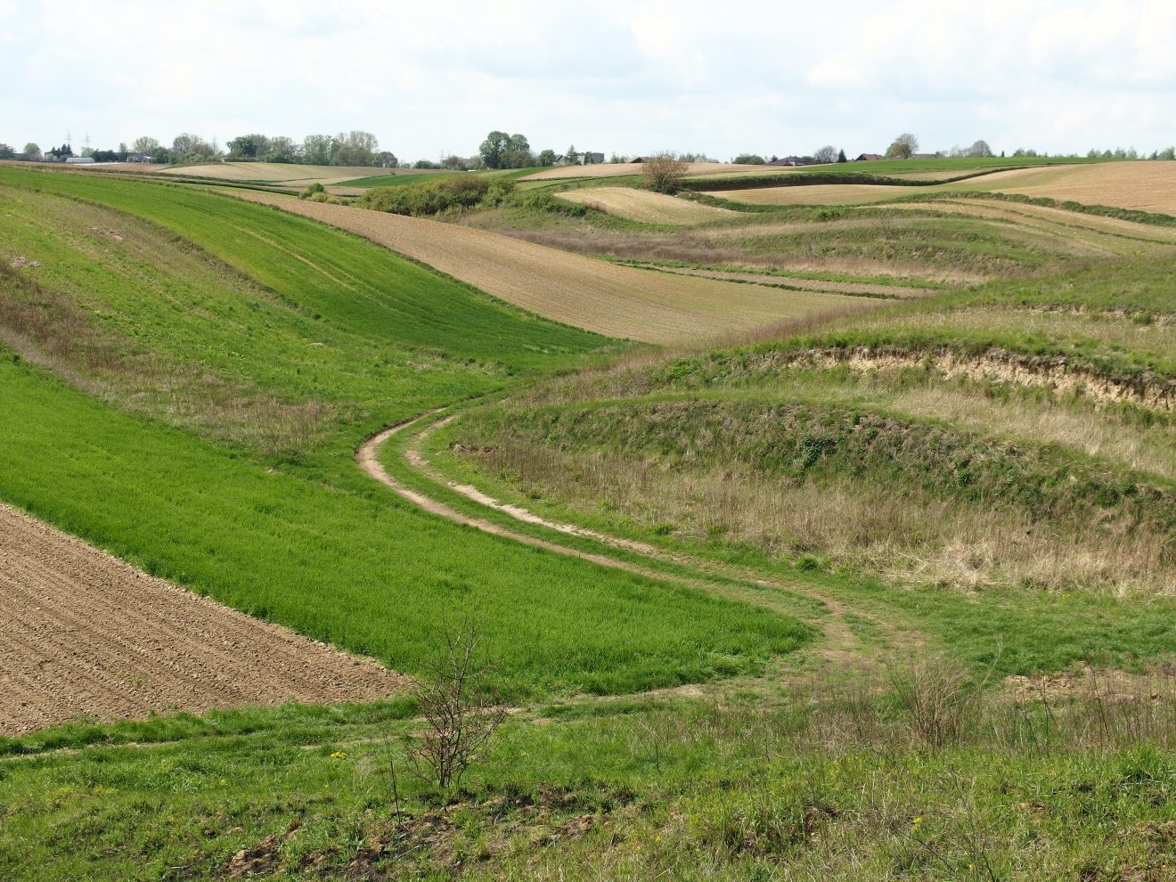 Krajobraz kultury rolnej w dolinie Ciemięgi