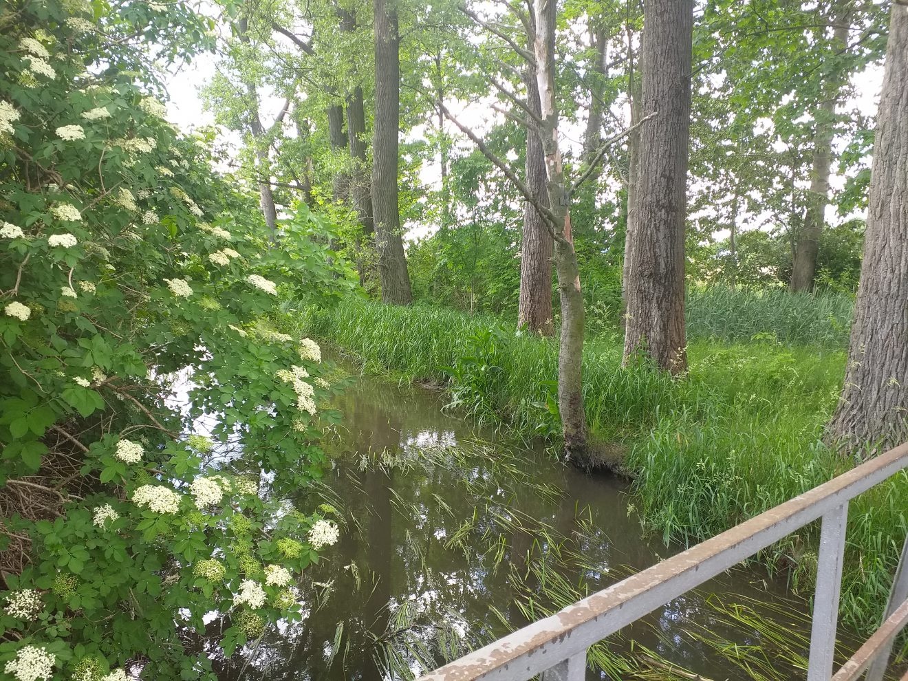 Dwa mostki przy Handlowej