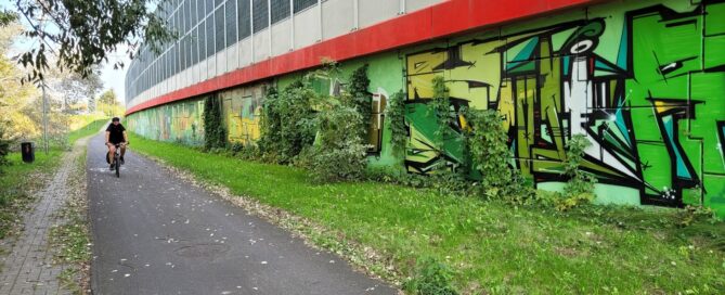 Odradzanie się pnączy na graffiti przy Solidarności