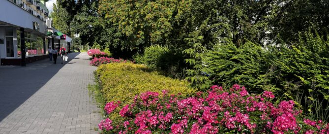 Pas zieleni przy pasażu na Lwowskiej