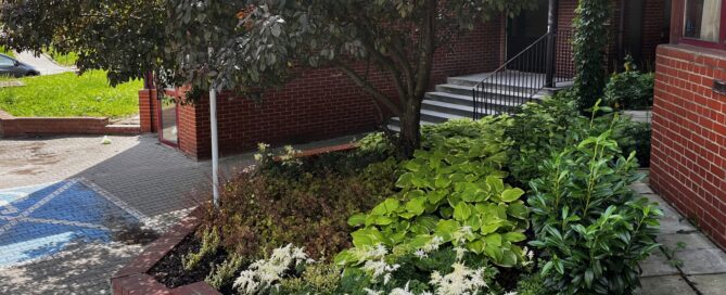 Roślinna Wyżynna przy DDK "Czuby Południowe"