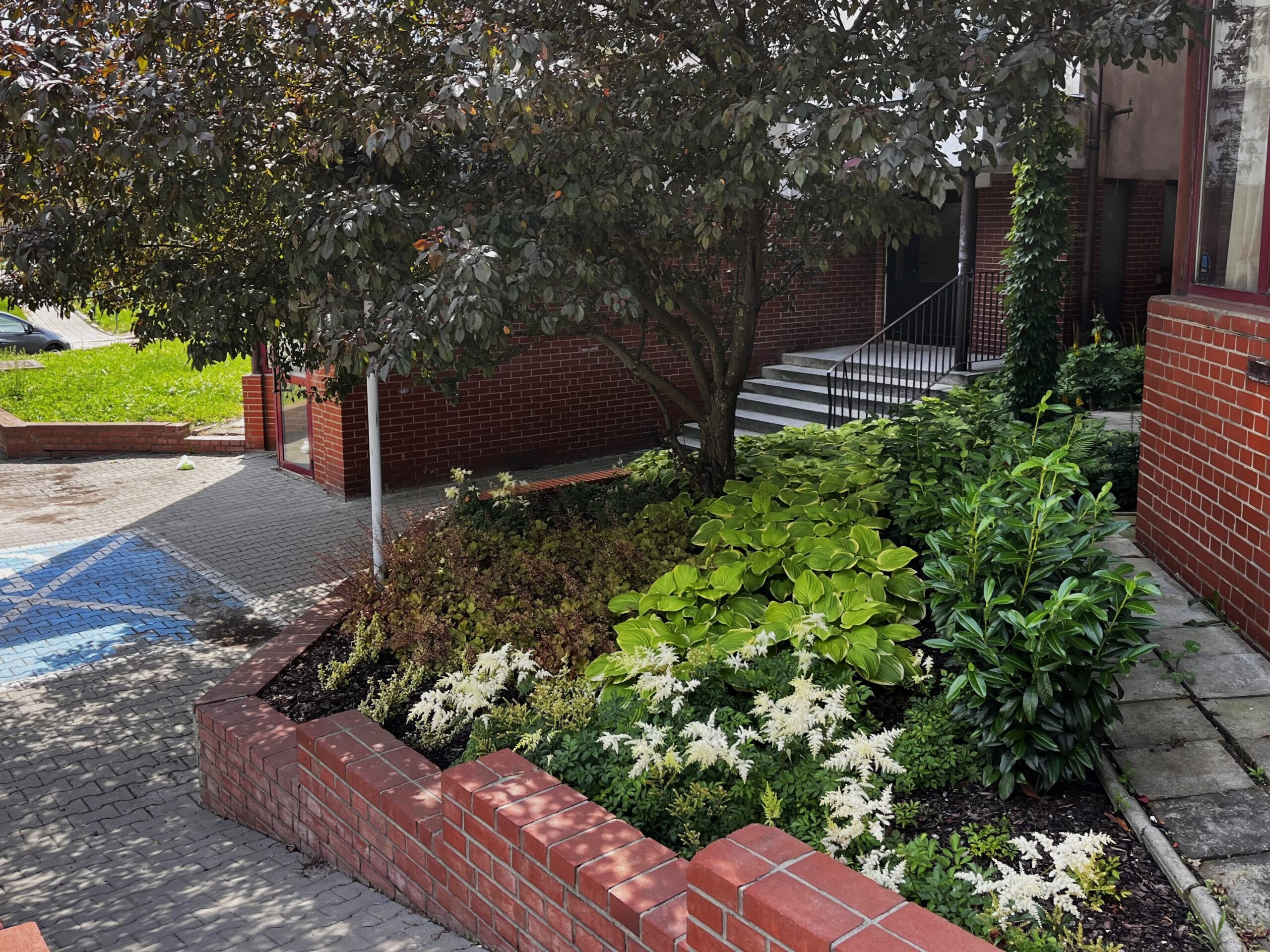 Roślinna Wyżynna przy DDK "Czuby Południowe"