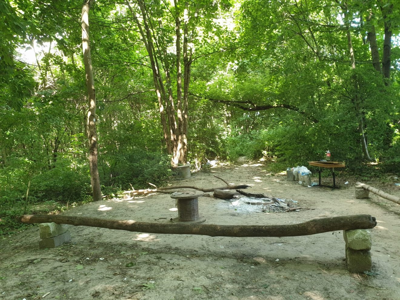 Posprzątali miejsce imprez