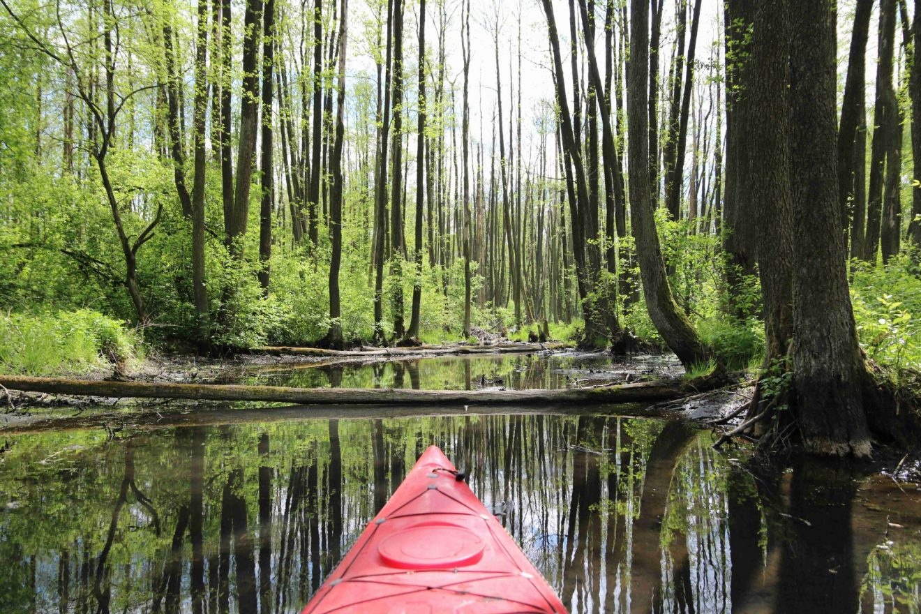 Rozlewiska Krężnickie