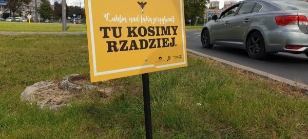 Informacja o rzadszym koszeniu trawników