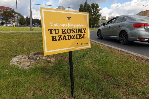 Informacja o rzadszym koszeniu trawników